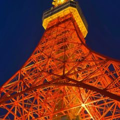 🗼東京観光🗼